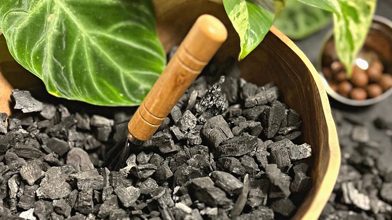 Activated Charcoal for plants