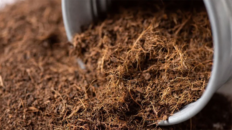 Buffering Coco Coir properly before using for indoor plants